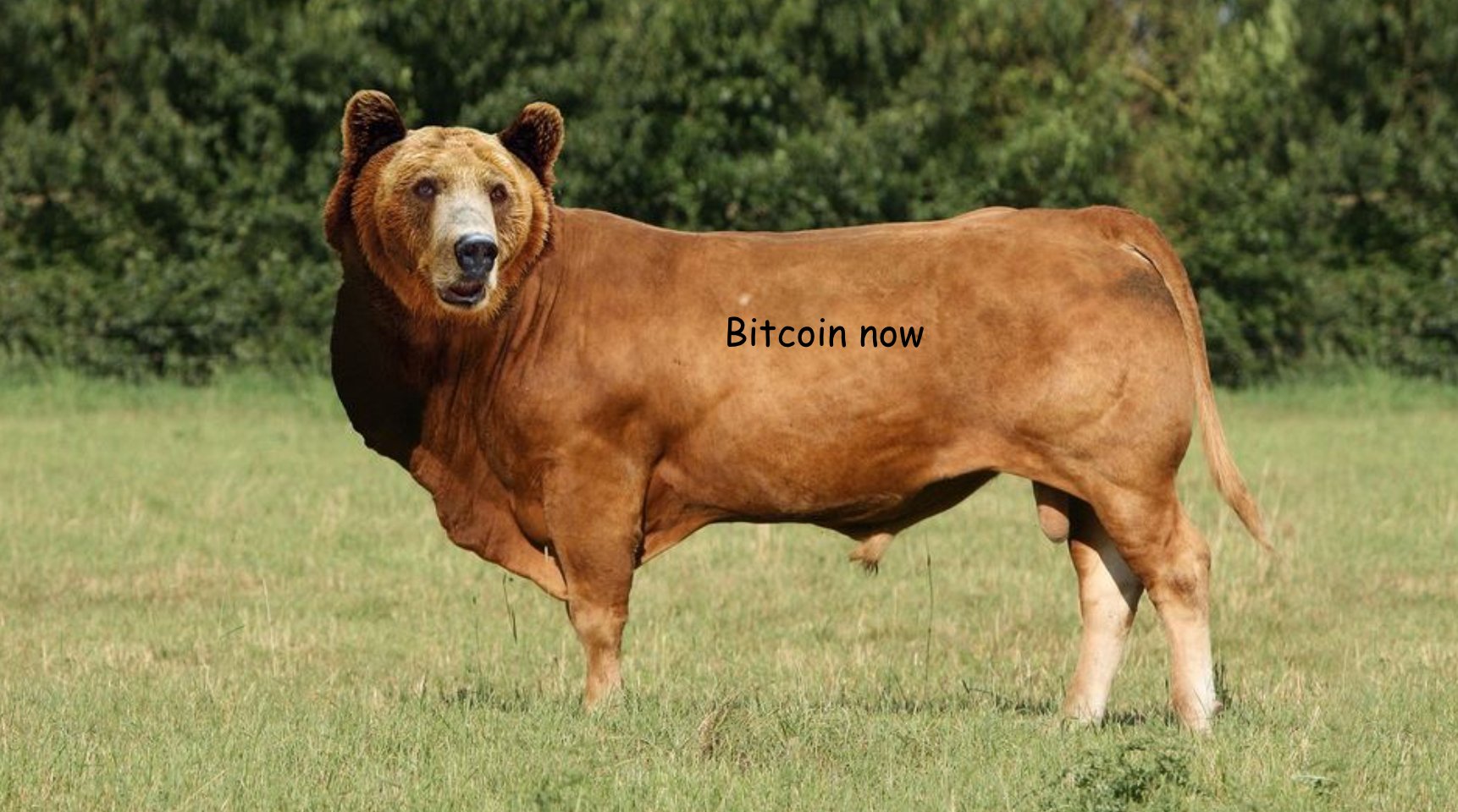 Weekly Nr. 26 - The BullBear Week