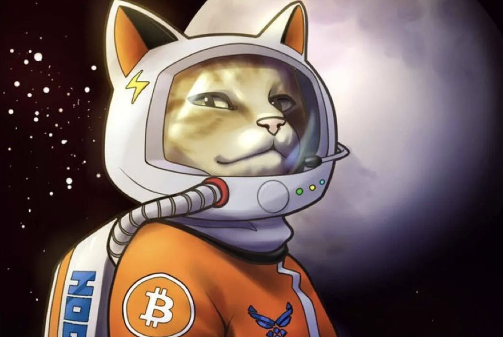 Craig Wright may be called a "fraud" and "scammer"