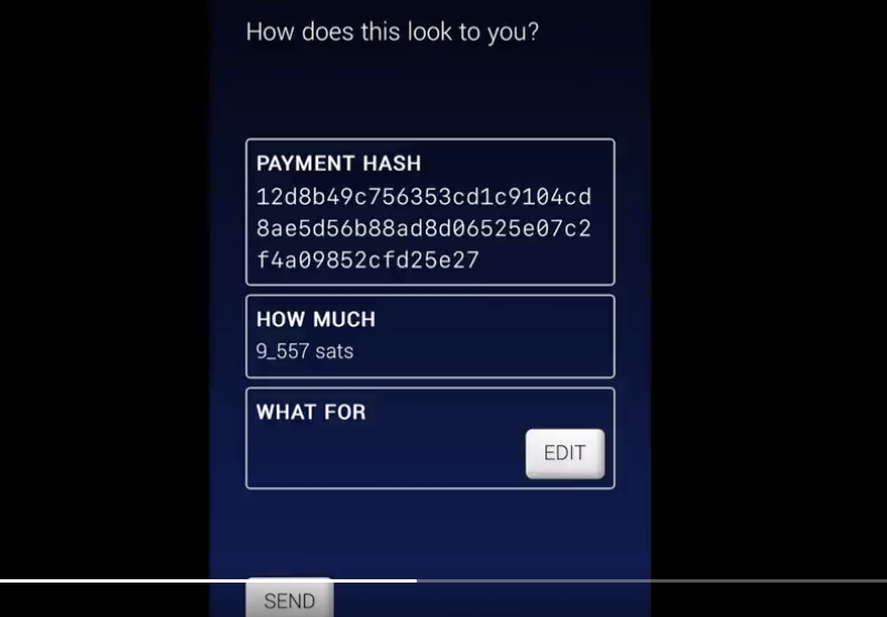 Lightning Node in a Browser