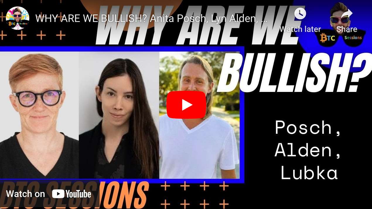 Why are we bullish? Lyn Alden, Anita, Steve Lubka